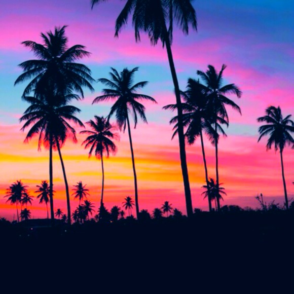 Meet your Posher, Jenna - Picture 1 of 1